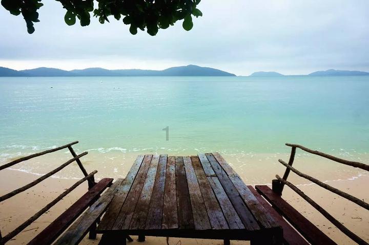 春雨直播app