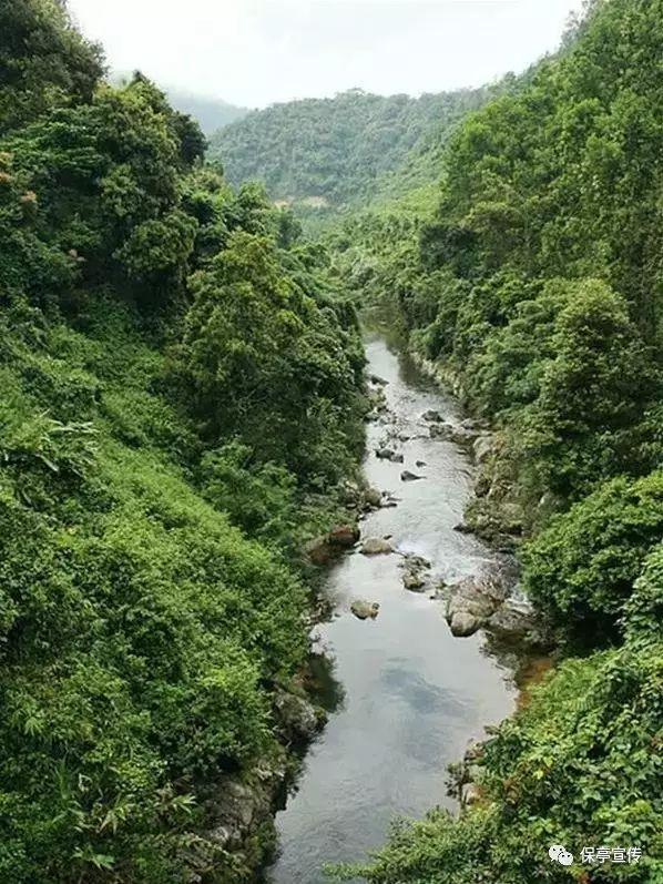飞傲宣布推出一款 KA11 解码和耳机功率放大器